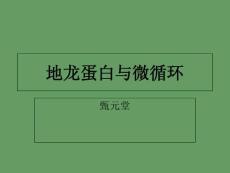 地龍蛋白與微循環（ppt課件）