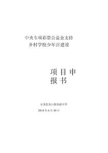 龍山中學鄉村學校少年宮建設項目申報書12