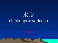《传染病学》课程教学课件 水痘chickenpox varicella(17P)