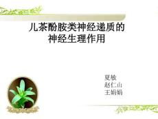 儿茶酚胺类神经递质的神经生理作用