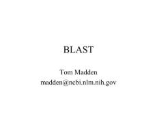 blast_talk[1]