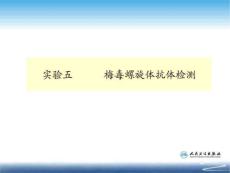实验五、梅毒
