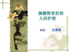胸腰椎骨折病人护理