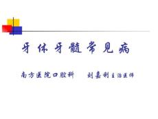 牙体牙髓11