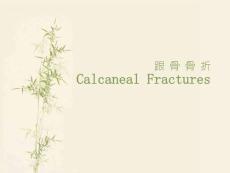 跟骨骨折课件