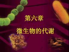 6 微生物代謝二