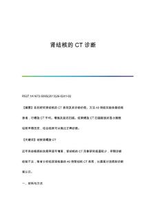 肾结核的CT诊断