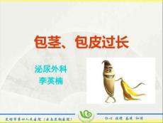 包茎包皮过长 （2）