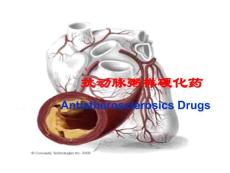 动脉粥样硬化 （1）
