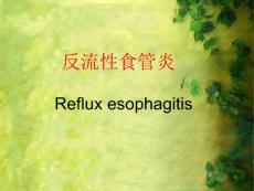 反流性食管炎PPT