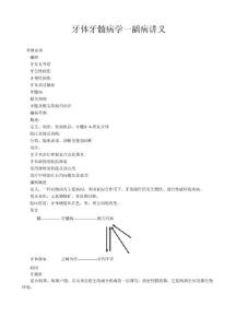 牙体牙髓病学