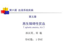 再生障碍性贫血2