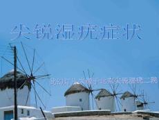 尖锐湿疣症状