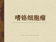 嗜铬细胞瘤【课件幻灯】