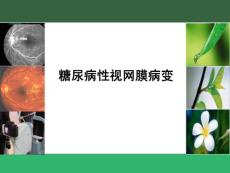 糖尿病视网膜病变简介