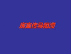 房室传导阻滞  (3）