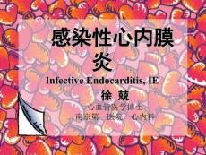 感染性心内膜炎 IEPPT