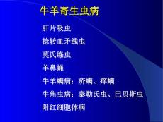 牛羊病寄生虫病