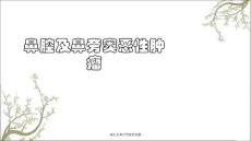 鼻腔及鼻旁窦恶性肿瘤课件
