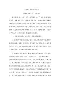 少先隊中對總結