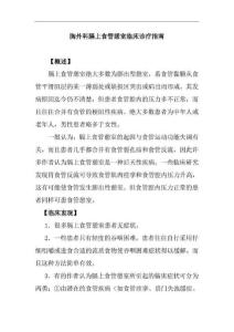 胸外科膈上食管憩室临床诊疗指南