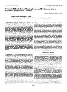 透明质酸Correlated Metabolismo f Proteoglycans and Hyaluronic Acidin