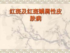 红斑丘疹性皮肤病