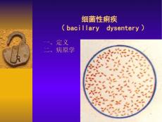 细菌性痢疾 (11）