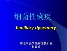 细菌性痢疾2
