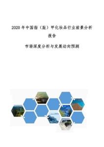 中国指（趾）甲化妆品行业前景分析报告-市场深度分析与发展动向预测