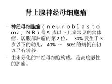 肾上腺神经母细胞瘤ppt课件