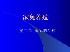 2家兔的品種