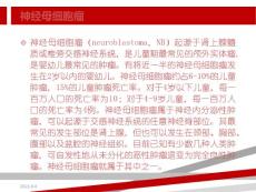 神经母细胞瘤课件