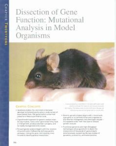 Concepts of Genetics (8th Edition)_Chapter 21