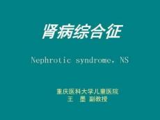 肾病教学