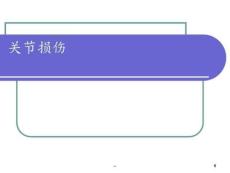 关节损伤PPT课件