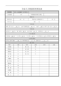 企業(yè)人力資源基本情況表