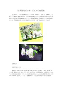 花丛深处觅清明 与北京亲密接触