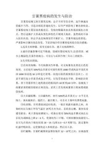 甘薯黑痣病的发生与防治