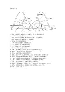 文胸部位术语