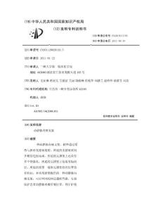 动静脉内瘘支架