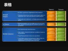 漂亮的ppt_4项目表格