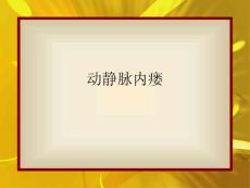 动静脉内瘘