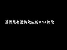 生物课件高一生物基因是有遗传效应的DNA片段课件