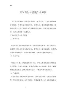 玉米苗生长缓慢什么原因