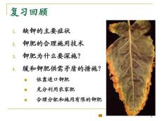 第13章植物的微量元素营养与微量元素肥料资料
