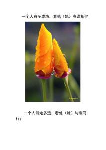 一個人有多成功，看他（她）有誰相伴.doc