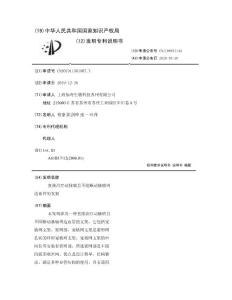 直接治疗动脉瘤且不阻断动脉瘤周边血管的支架