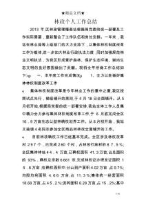 林政個人工作總結