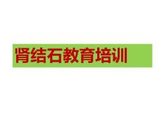 肾结石教育培训